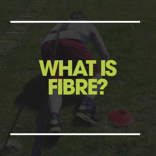 what is fibre?